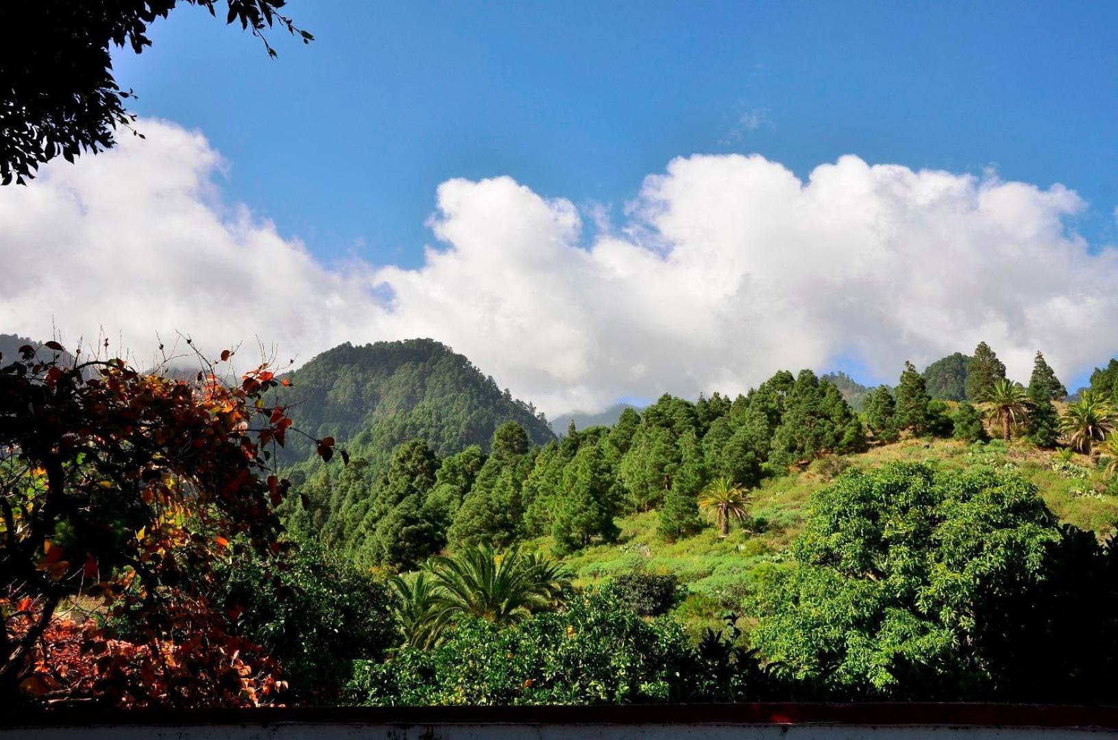 Casa Finca Avocado Los Llanos De Aridane Kültér fotó